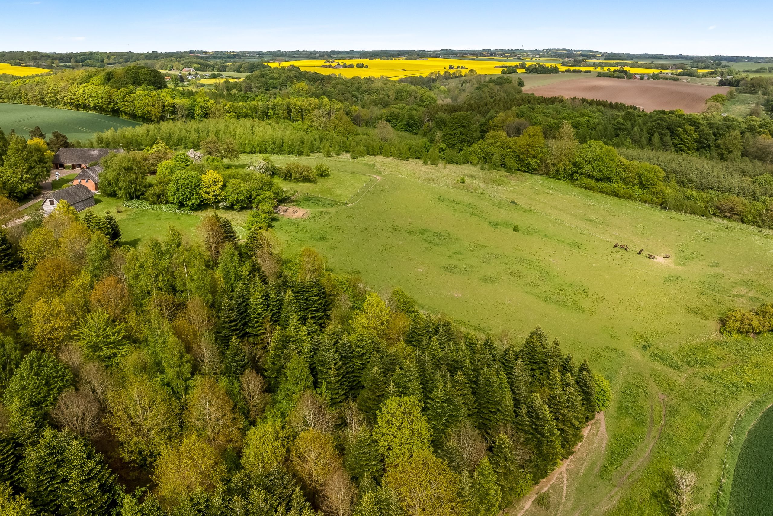 Naturejendom-lystejendom-vejle-5
