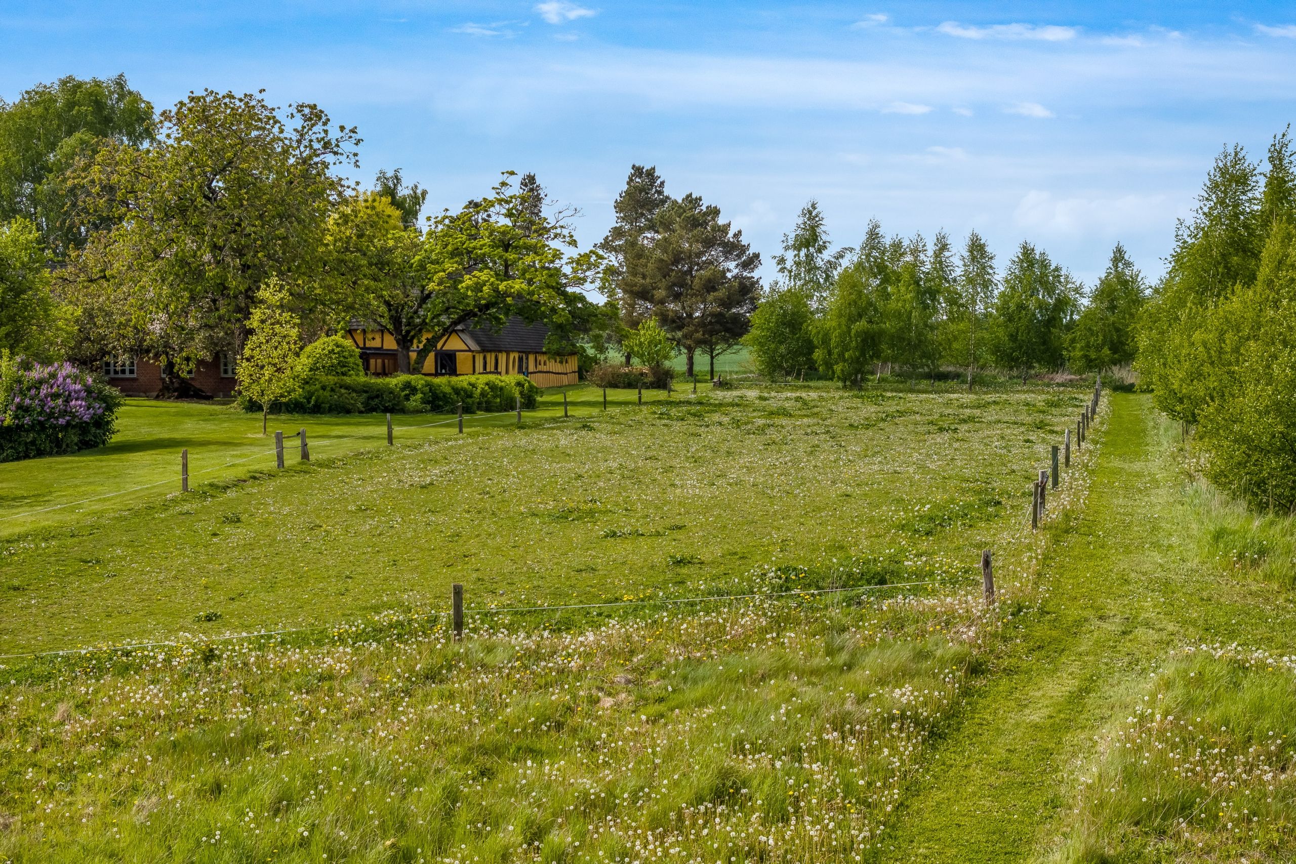 Naturejendom-lystejendom-vejle-9